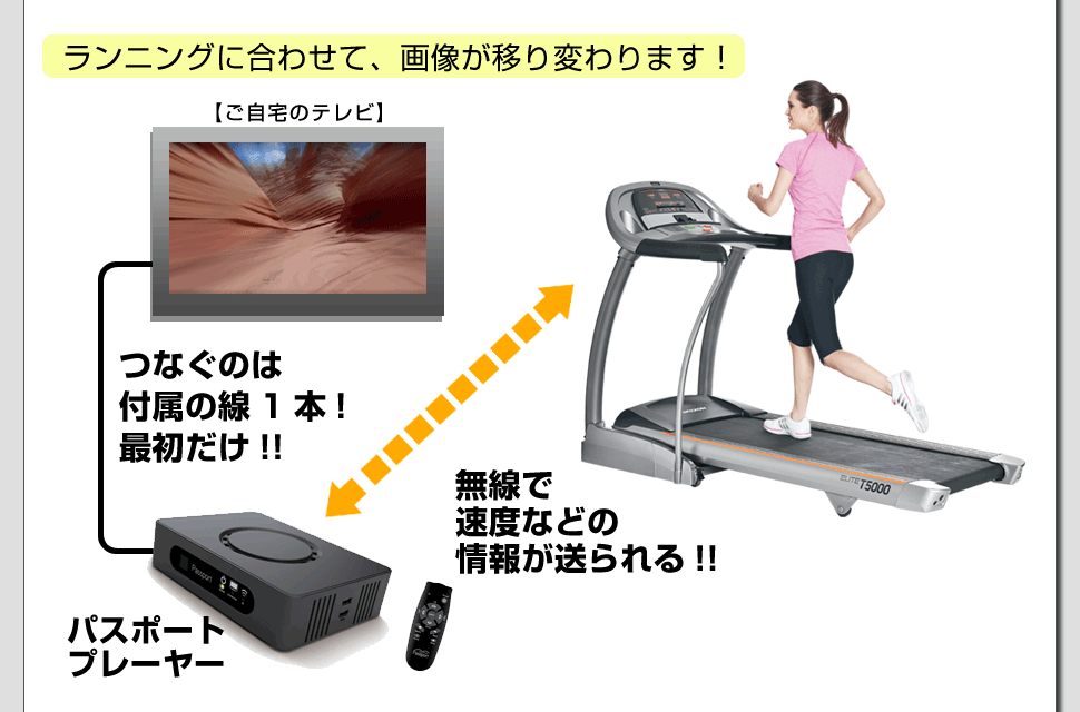 パスポートプレーヤー